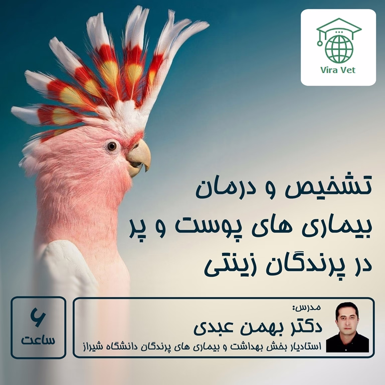 تشخیص و درمان بیماری های پوست و پر در پرندگان زینتی