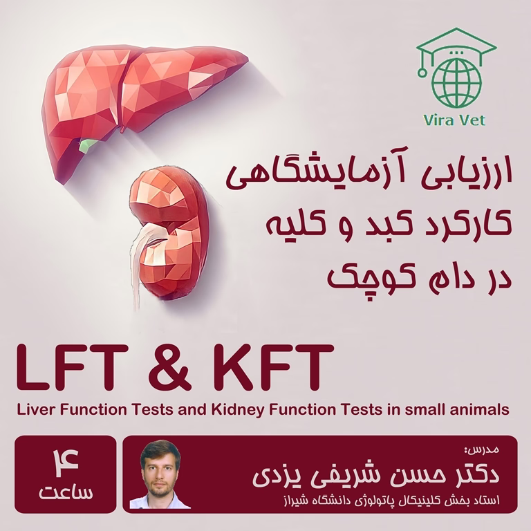 ارزیابی آزمایشگاهی کارکرد کبد و کلیه در دام کوچک