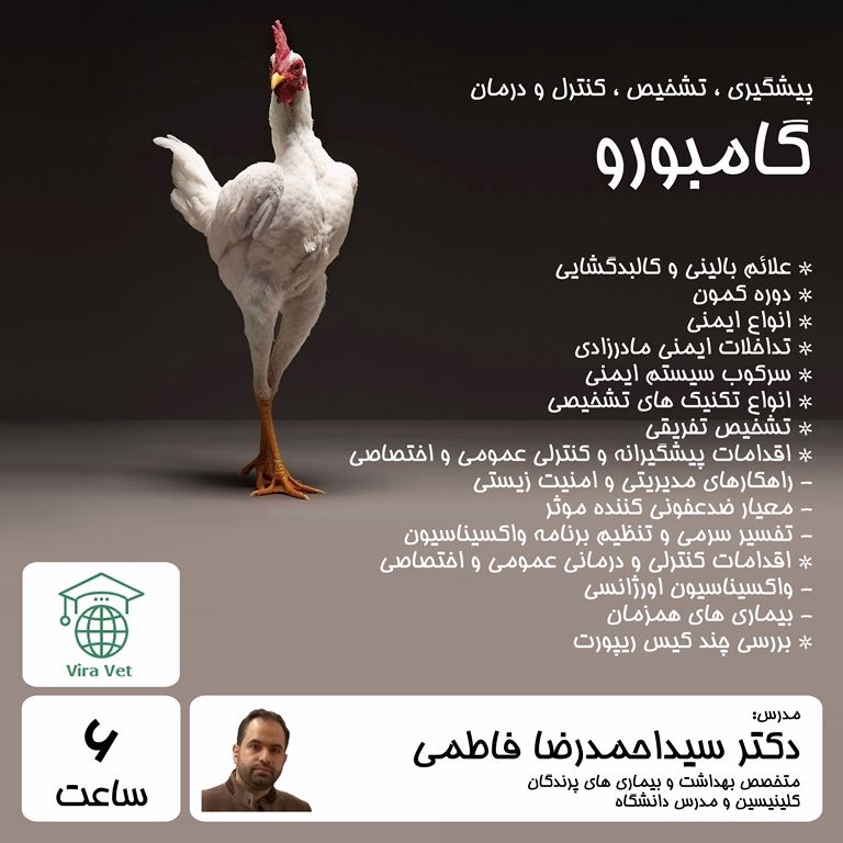 پیشگیری ، تشخیص ، کنترل و درمان گامبورو Prevention, Diagnosis, Control & Treatment of Gumboro