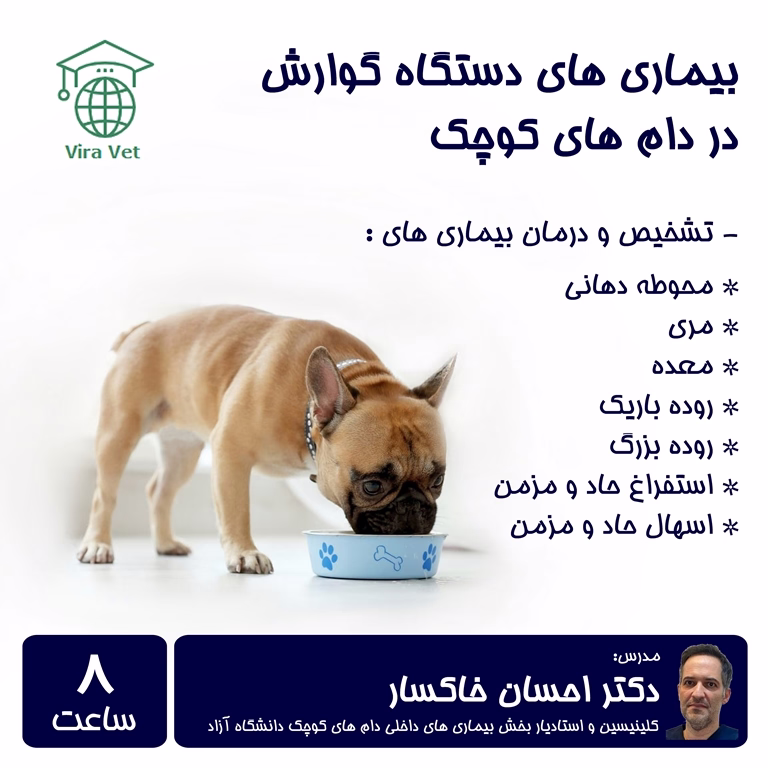 بیماری های دستگاه گوارش در دام های کوچک Gastrointestinal Diseases in Small Animals