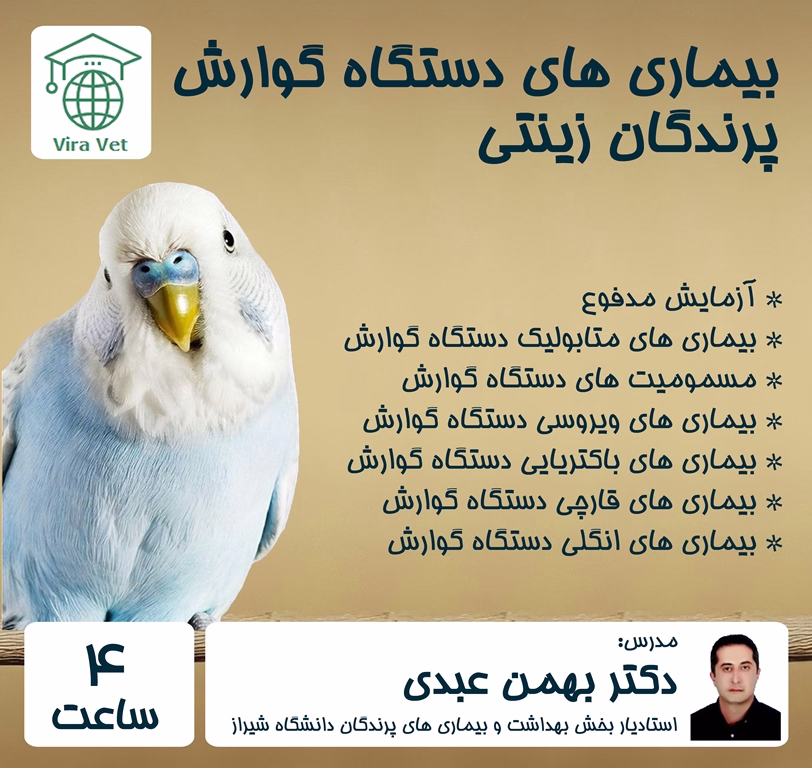 گوارش زینتی بیماری های دستگاه گوارش پرندگان زینتی - Image 1