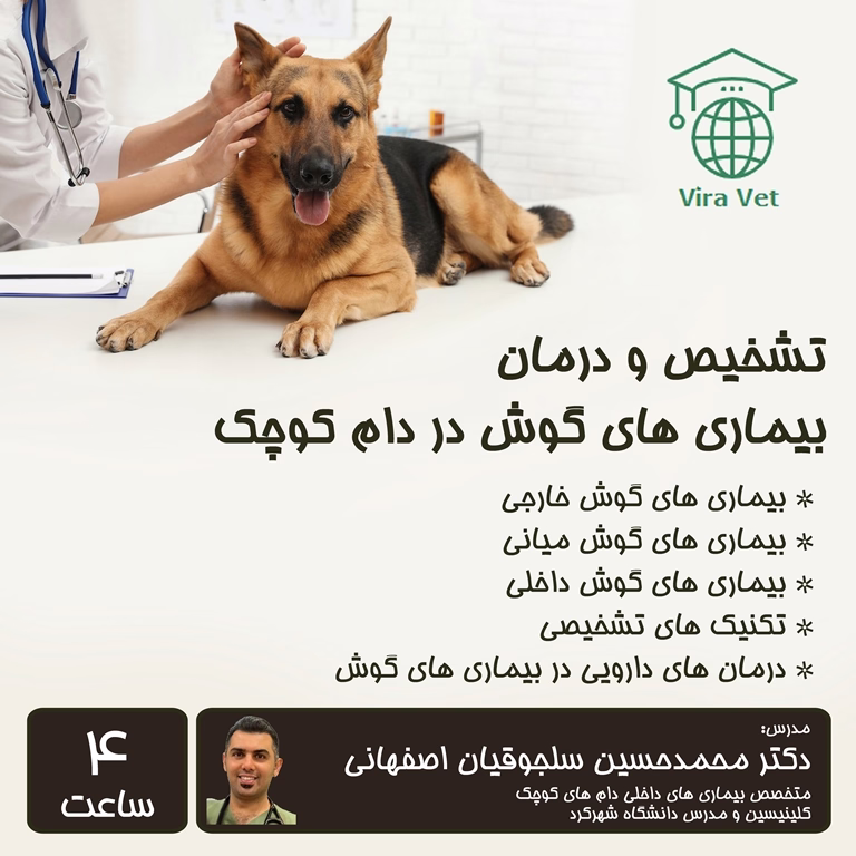 تشخیص و درمان بیماری های گوش در دام کوچک Diagnosus and Treatment of Ear Diseases in Small Animals