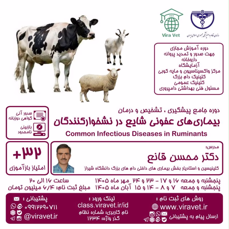 بیماری های عفونی شایع در نشخوارکنندگان Common Infectious Diseases in Ruminants